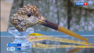 В  Национальном музее Коми открылась выставка "Диковинки" 