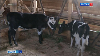  В Коми прошла стратегическая сессия по сельскому хозяйству 