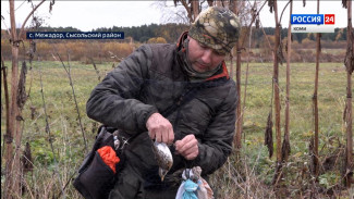 Орнитолог Коми научного центра подвел итоги полевого сезона