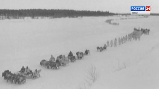 Специальный репортаж."По следам оленно-транспортных батальонов"