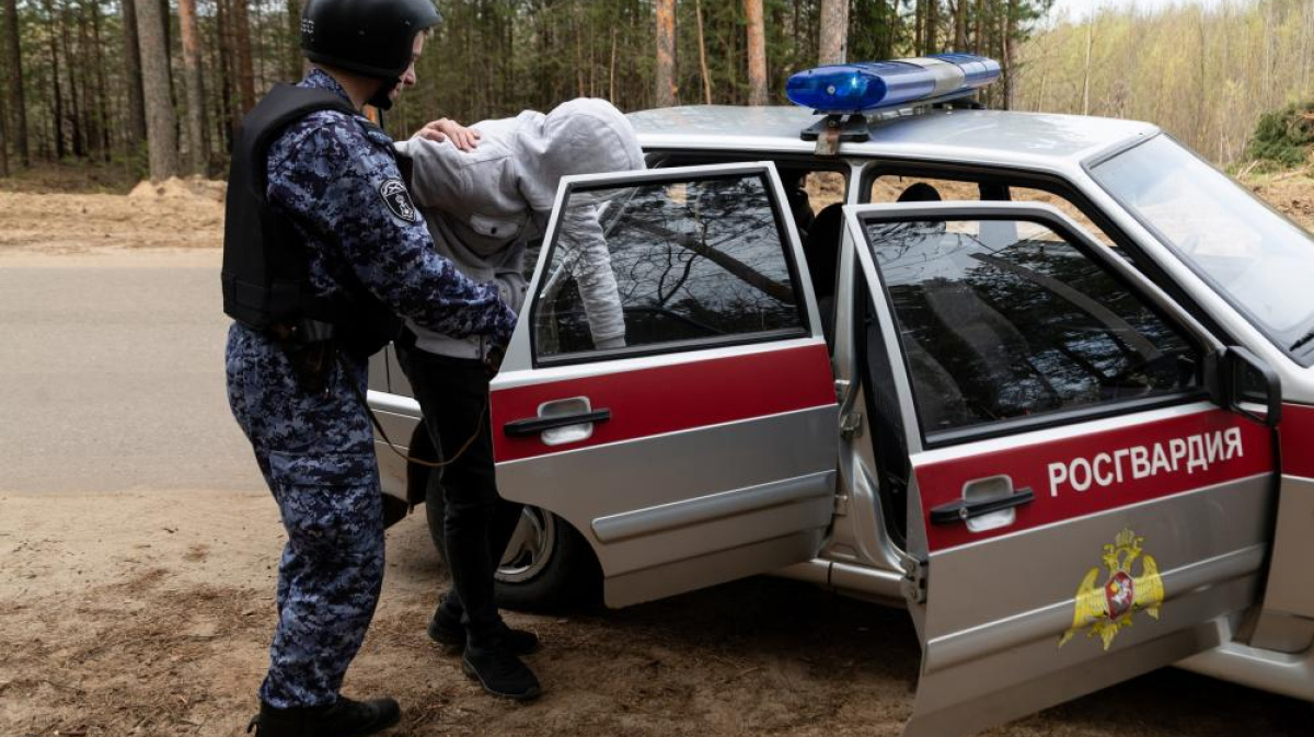 В Ухте росгвардейцы задержали мужчину, похитившего силовой кабель – ГТРК  «Коми Гор»