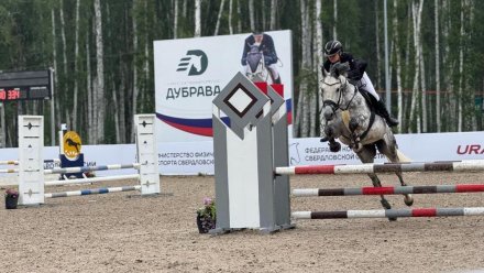 Спортсмены Коми выиграли 15 медалей на всероссийских соревнованиях по конкуру «Кубок Губернатора Свердловской области» по конкуру