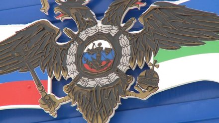Под предлогом дополнительного заработка на перепродаже NFT-токенов мошенники обманули жителя Прилузского района