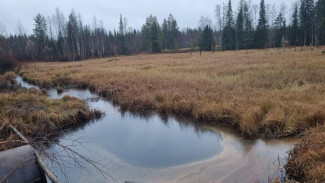 В Троицко-Печорском районе по факту разлива нефтесодержащей жидкости организована процессуальная проверка