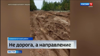 Жители посёлка Мещура сетуют на разбитую дорогу к их населённому пункту