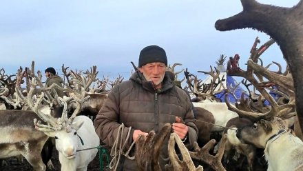 В Коми установлены две меры социальной поддержки оленеводов