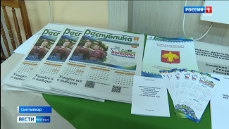 «Единая Россия» представила своих общественных наблюдателей