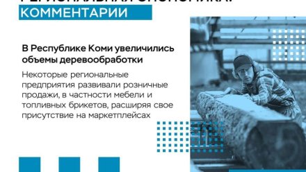 Региональная экономика: в Коми увеличились объемы деревообработки 