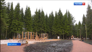 В Сыктывкаре в эту субботу всех желающих ждут в Беличьем парке на субботник