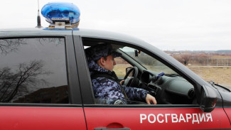 В Сыктывкаре росгвардейцы задержали участников конфликта,  переросшего в драку