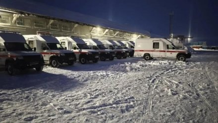 Воркутинская больница получила 22 автомобиля скорой помощи