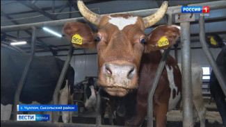 Сельхозпредприятия Сысольского района начали продавать молоко в Вологодскую область