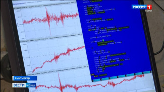 Сейсмодатчики в Коми зафиксировали землетрясение в Турции