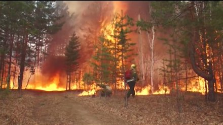 Повышение уровня пожароопасности в Коми ожидается в мае 