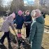 Сыктывкарские школьники приняли участие в международной акции «Сад Памяти»