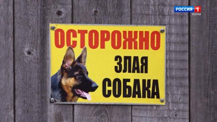 Укус собаки обошелся хозяйке в 200 тысяч рублей   