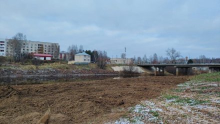 В этом году в Сысольском районе началась расчистка и углубление дна реки Большая Визинга