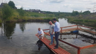 Фермер из Прилузья планирует создать агротуристический комплекс