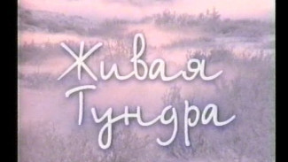 Живая тундра (Телефильм)