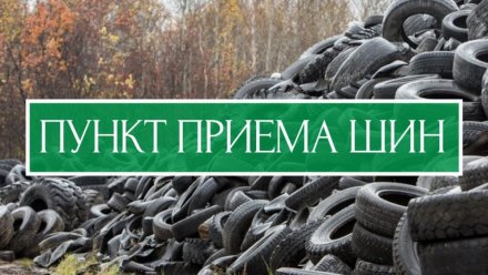 Минприроды Коми сообщает об успешной работе пункта приема отработанных шин в Сыктывкаре