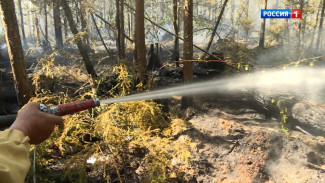 В десяти районах Республики Коми введен особый противопожарный режим в лесах