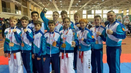 Тхэквондисты Коми успешно выступили на всероссийских соревнованиях «Чемпионы Сибири»