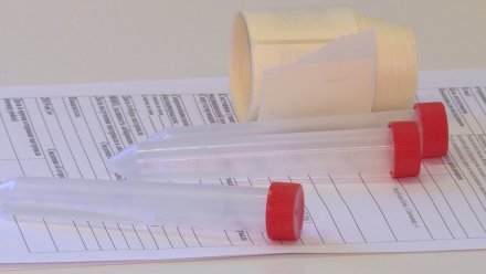 Сыктывкарцы могут бесплатно сдать тест на антитела