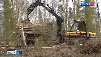 В Коми увеличено финансирование на отвод лесосек
