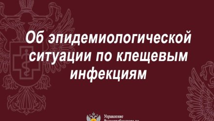 Управление Роспотребнадзора по Республике Коми информирует о повышении активности клещей в регионе за прошедшую неделю
