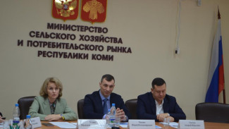 В Минсельхозе Коми обсудили правоприменительную практику в сфере оборота алкогольной продукции