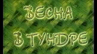 Весна в тундре (Телефильм, 2002) 