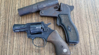 В Воркуте оленевод добровольно сдал в Росгвардию найденное оружие