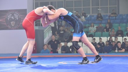 Более 50 спортсменов соберутся в Сыктывкаре на чемпионат СЗФО России по вольной борьбе