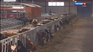 Аграрный сектор Коми переходит на «цифру»