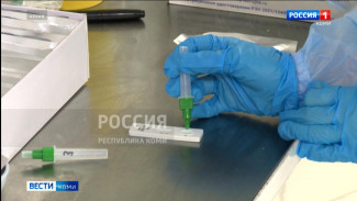 На территории Усть-Вымского района выявили случай гриппа H1N1