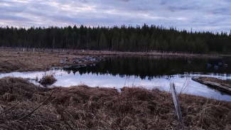 Минприроды Коми: пресечена браконьерская деятельность на Кажимском водохранилище