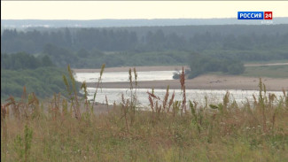 В большинстве районов Республики Коми ожидаются грозы с ливнями