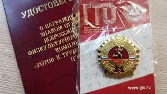 Более 23 тысяч жителей Коми в 2024 году выполнили нормативы на знак отличия ГТО