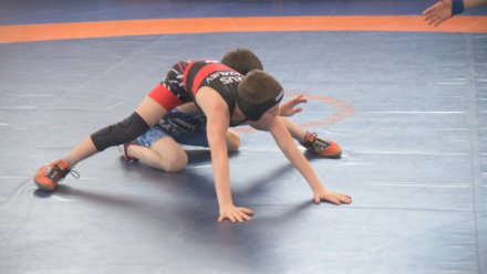 В спортивном центре «Ошпи» стартовали Всероссийские соревнования по вольной борьбе