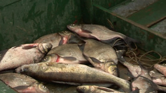 Житель Емвы стал фигурантом уголовного дела после рыбалки в заказнике