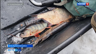 В заказнике «Дон-ты» на территории Усть-Куломского района инспекторы поймали браконьеров