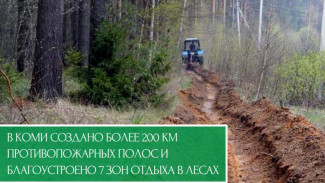 В Коми создано более 200 км противопожарных полос и благоустроено 7 зон отдыха в лесах