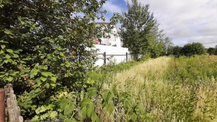 В Визинге долгий земельный спор соседей завершился за два часа