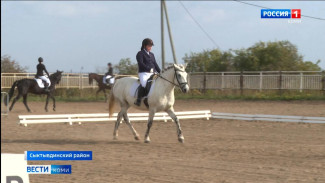 В Сыктывдинском районе стартовал Кубок Федерации конного спорта Республики Коми