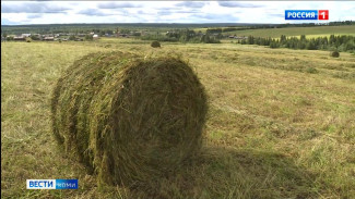 В Министерстве сельского хозяйства и потребительского рынка Коми рассказали журналистам о планах и ходе кормозаготовительной кампании
