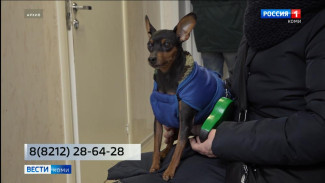 Ветеринарная служба в Коми будут дежурить все майские праздники