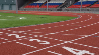 Одаренные спортсмены Коми получили премии за высокие достижения