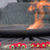 Мемориал "Вечная слава" в Сыктывкаре пополнится новыми фамилиями