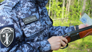 Житель Сыктывкара привлечен к административной ответственности за утерю оружия на реке