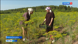 Воспитанники Детского дома имени Александра Католикова осваивают агрономию